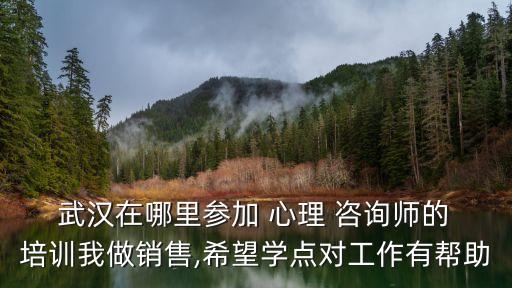  武汉在哪里参加 心理 咨询师的 培训我做销售,希望学点对工作有帮助