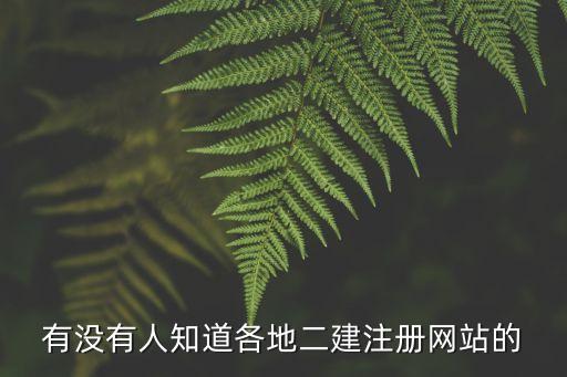 有没有人知道各地二建注册网站的