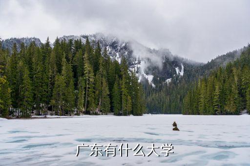 广东有什么大学