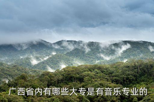 广西艺术职业学院位置,广西工程职业学院位置