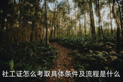 社工证怎么考取具体条件及流程是什么