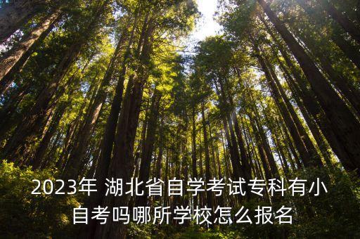 2023年 湖北省自学考试专科有小 自考吗哪所学校怎么报名