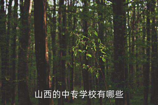 临汾市武术职业高中,西安武术职业高中