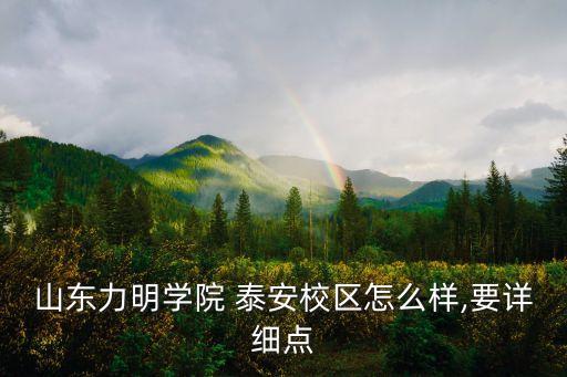 山东力明学院 泰安校区怎么样,要详细点