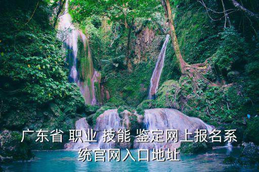 广东省 职业 技能 鉴定网上报名系统官网入口地址