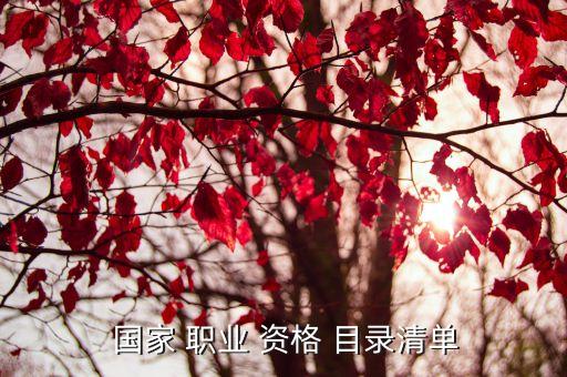 关于公布国家职业资格目录有哪些,最新国家职业资格目录2022