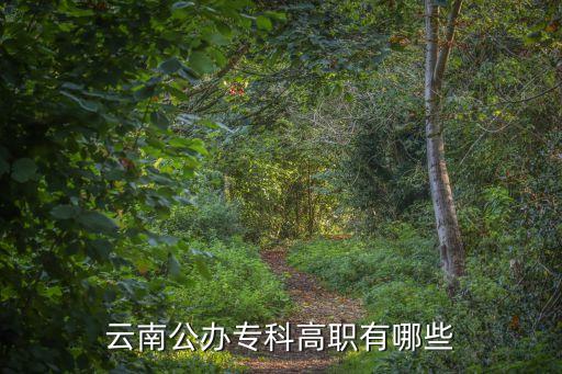 云南公办专科高职有哪些