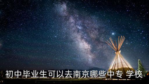 初中毕业生可以去南京哪些中专 学校