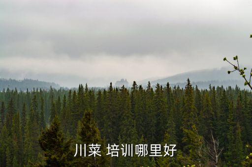 川菜 培训哪里好