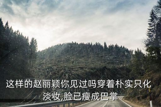 职业化淡妆的照片