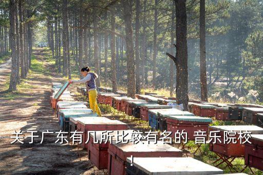 广州学音乐的职业学校有哪些,广州音乐中专职业学校