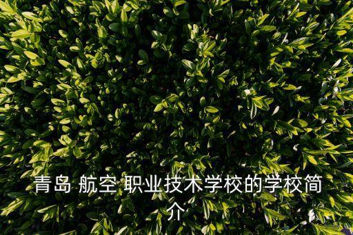 青岛航空职业学院招聘