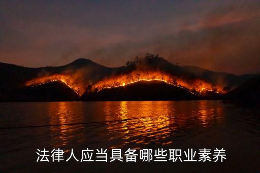  法律人应当具备哪些职业素养