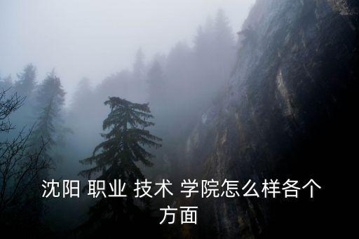 沈阳职业技术学院老师
