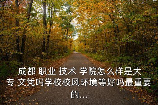  成都 职业 技术 学院怎么样是大专 文凭吗学校校风环境等好吗最重要的...
