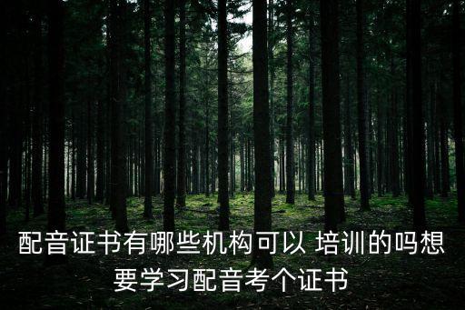 配音证书有哪些机构可以 培训的吗想要学习配音考个证书