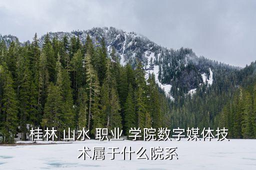  桂林 山水 职业 学院数字媒体技术属于什么院系