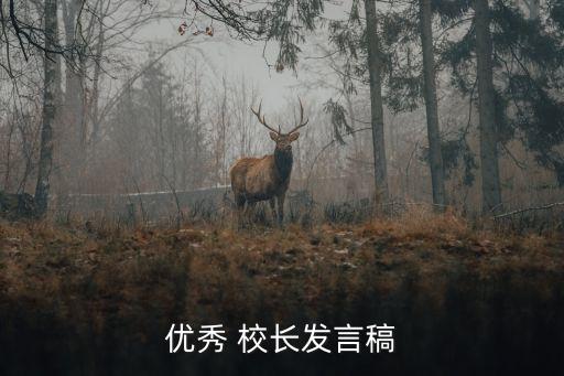 优秀 校长发言稿