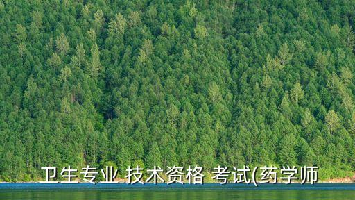  卫生专业 技术资格 考试(药学师