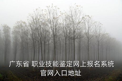  广东省 职业技能鉴定网上报名系统官网入口地址