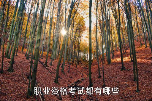  职业资格考试都有哪些