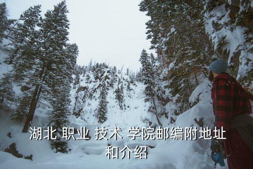  湖北 职业 技术 学院邮编附地址和介绍