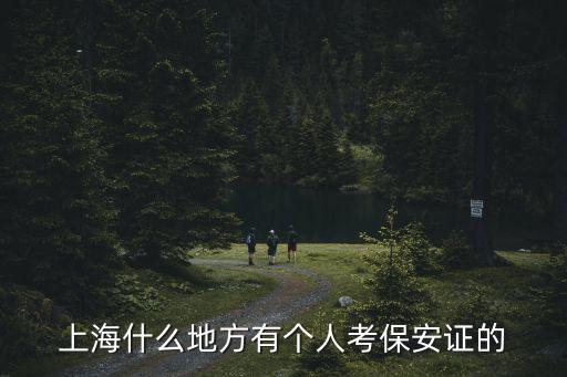 上海什么地方有个人考保安证的