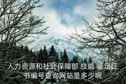 重庆市国家职业技能鉴定所网址