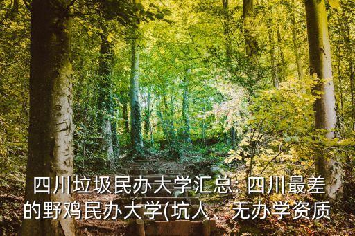 四川西南航空职业技术学院学费,成都航空职业技术学院和四川西南航空学院