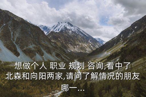想做个人 职业 规划 咨询,看中了北森和向阳两家,请问了解情况的朋友哪一...
