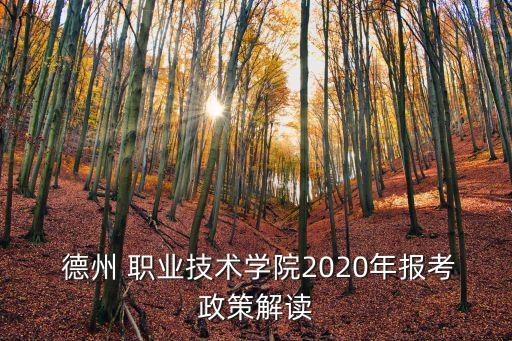  德州 职业技术学院2020年报考政策解读