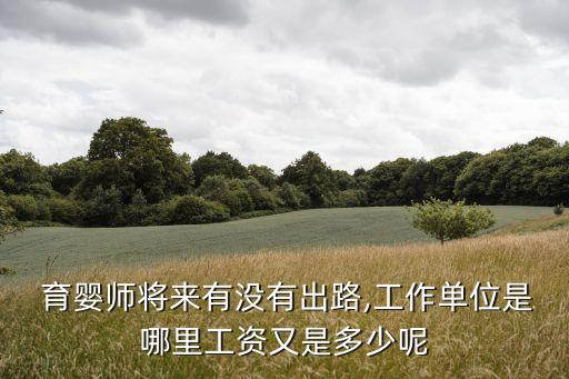 育婴师的职业前景2016,月嫂和育婴师哪个有前景