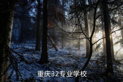  重庆32专业学校