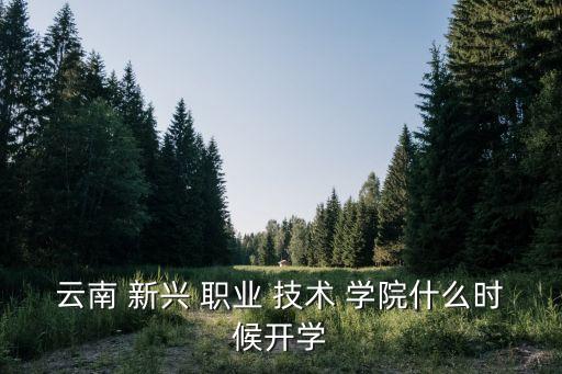 云南 新兴 职业 技术 学院什么时候开学
