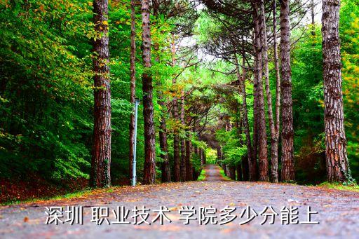  深圳 职业技术 学院多少分能上
