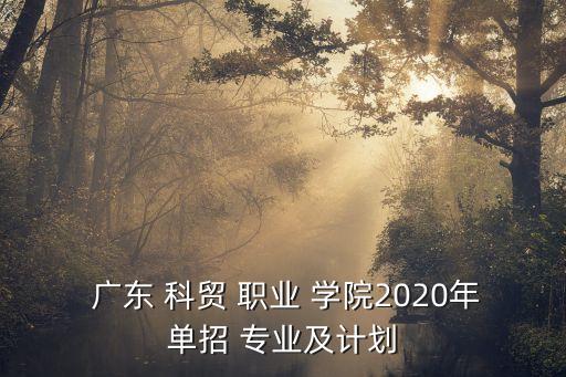  广东 科贸 职业 学院2020年单招 专业及计划