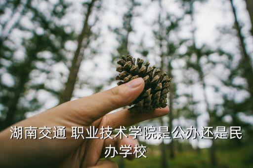湖南交通 职业技术学院是公办还是民办学校