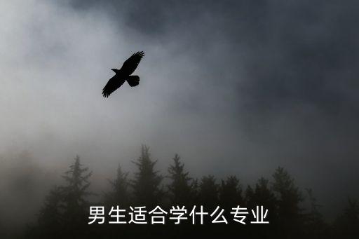 男孩子学什么职业好