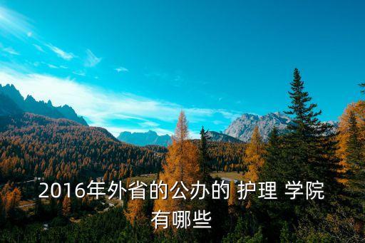 2016年外省的公办的 护理 学院有哪些