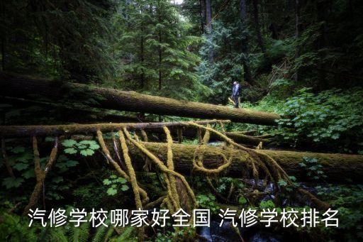  汽修学校哪家好全国 汽修学校排名