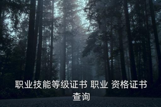  职业技能等级证书 职业 资格证书 查询