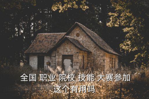  全国 职业 院校 技能 大赛参加这个有用吗