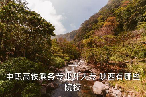 中职高铁乘务专业升大专 陕西有哪些院校