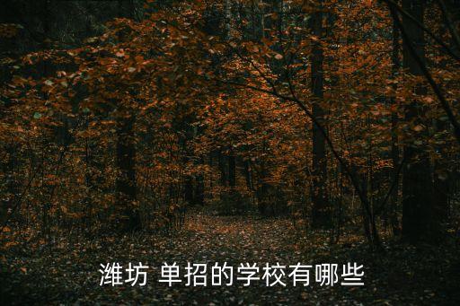  潍坊 单招的学校有哪些