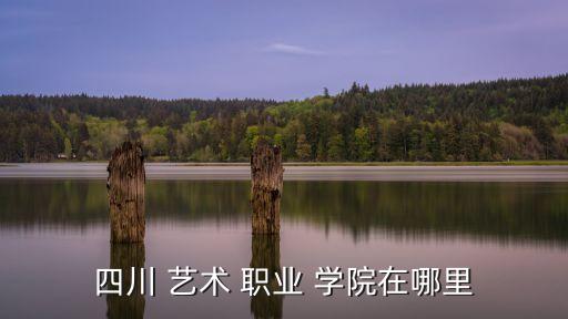 四川 艺术 职业 学院在哪里
