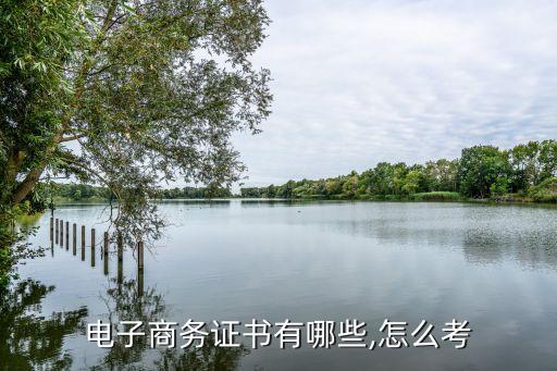 电子商务证书有哪些,怎么考