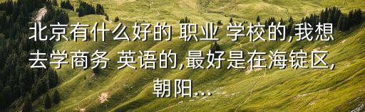 北京有什么好的 职业 学校的,我想去学商务 英语的,最好是在海锭区,朝阳...