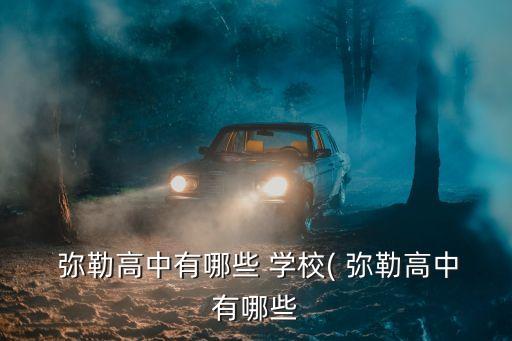  弥勒高中有哪些 学校( 弥勒高中有哪些