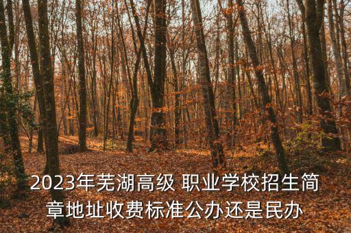 2023年芜湖高级 职业学校招生简章地址收费标准公办还是民办