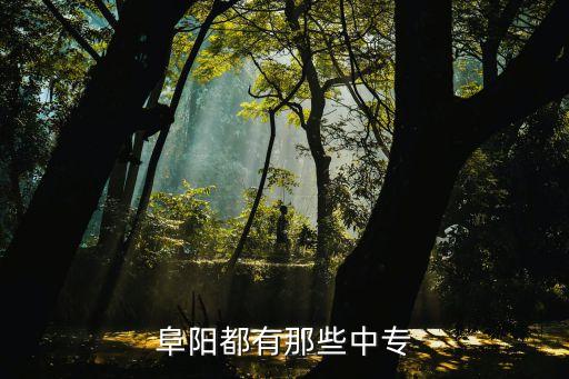 阜阳都有那些中专
